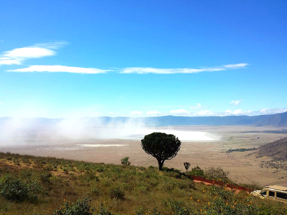 The incredible Serengeti Desert, one of the most popular tourist destinations in Africa, where one of Matter's most recent partners is located.