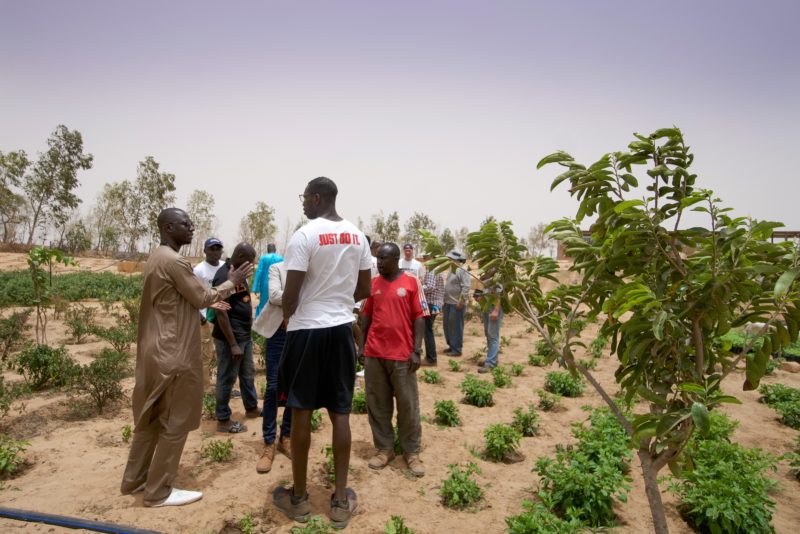 mattersenegal2017 – 113