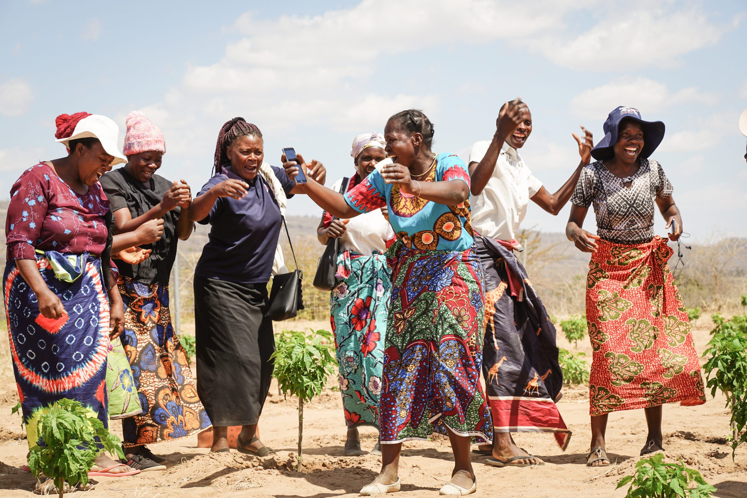 The Chaya Tree Project