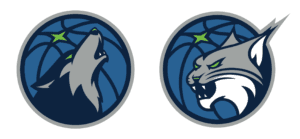 Minnesota Timberwolves and Minnesota Lynx