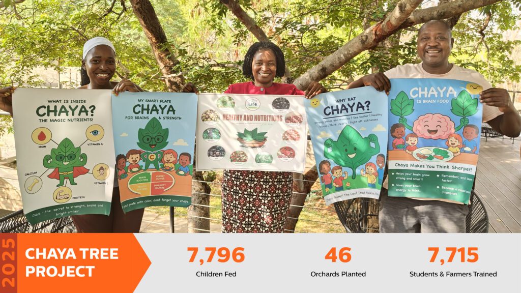 Chaya KPI Update November 2025