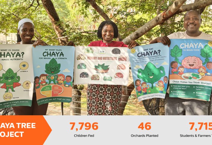 Chaya KPI Update November 2025